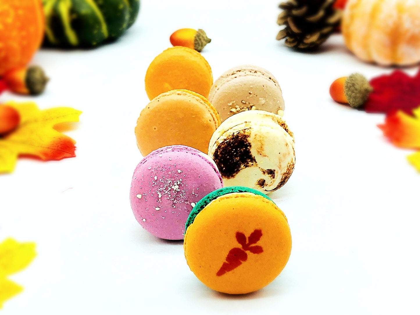 24 Pack Assorted Macaron, The Fall Set | Perfect for any party, celebration. - Macaron Centrale