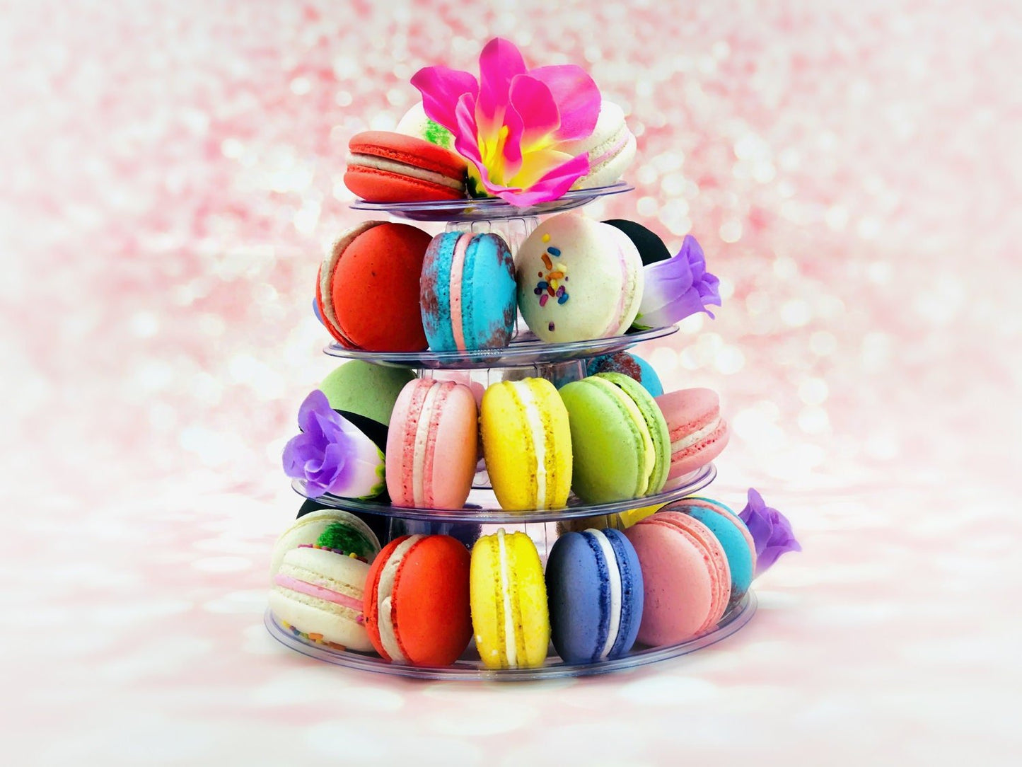 4 Tier Macaron Tower with Protective Case | Adjustable and Reusable - Macaron Centrale