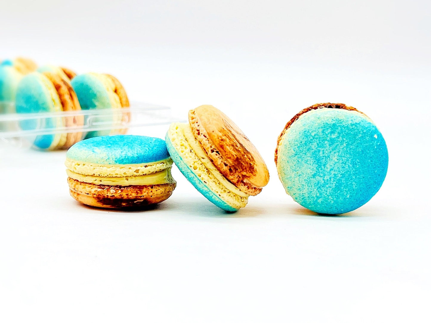 50 Pack Blueberry - Colombian Coffee French Macaron Value Pack - Macaron Centrale