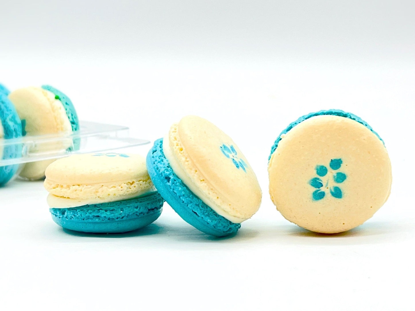 50 Pack Blueberry Sundae French Macaron Value Pack - Macaron Centrale