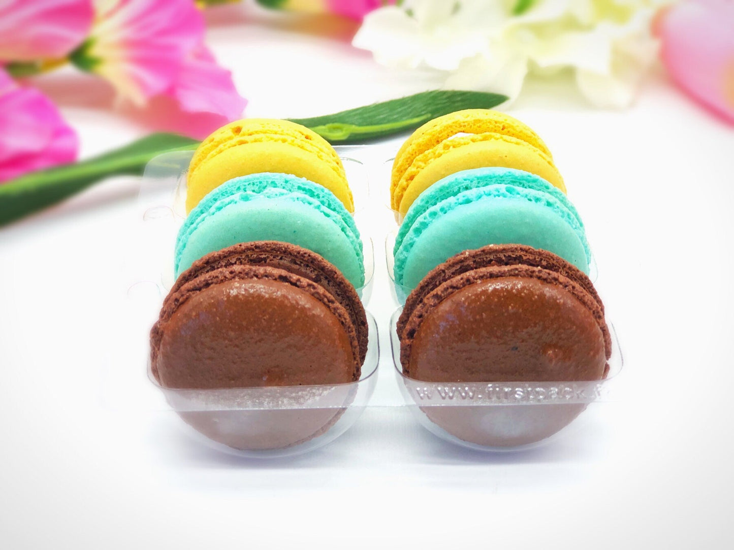 6 Pack Assorted Macarons | Chocolate Raspberry, Mint Chocolate, Blueberry Cheesecake Macarons - Macaron Centrale