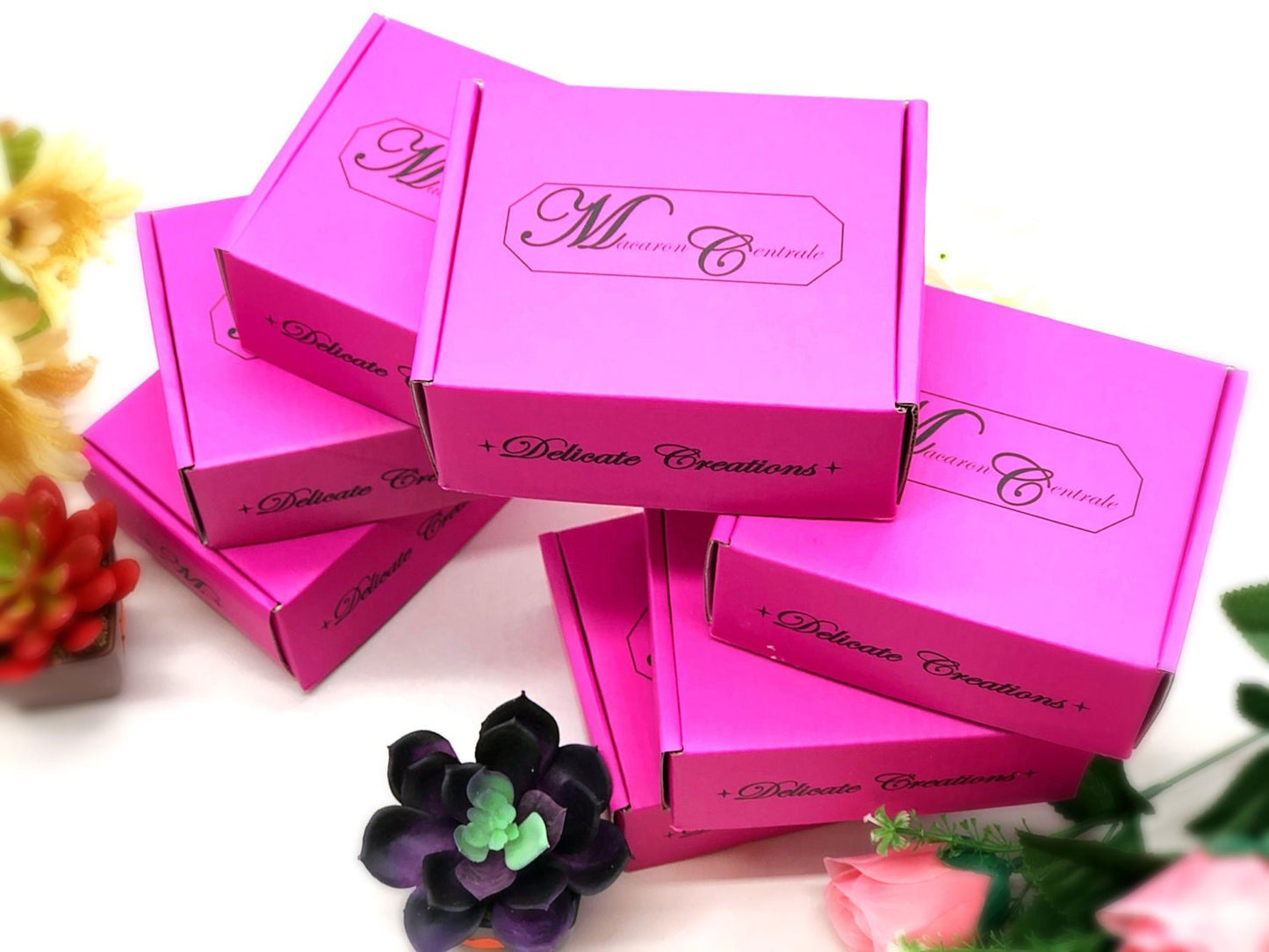 6 Pack Box - Subscription - Macaron Centrale