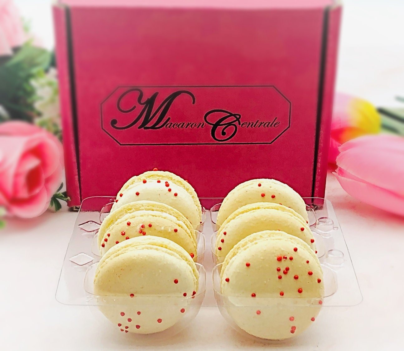 6 Pack Grapefruit French Macarons | Perfect for your next celebratory events. - Macaron Centrale