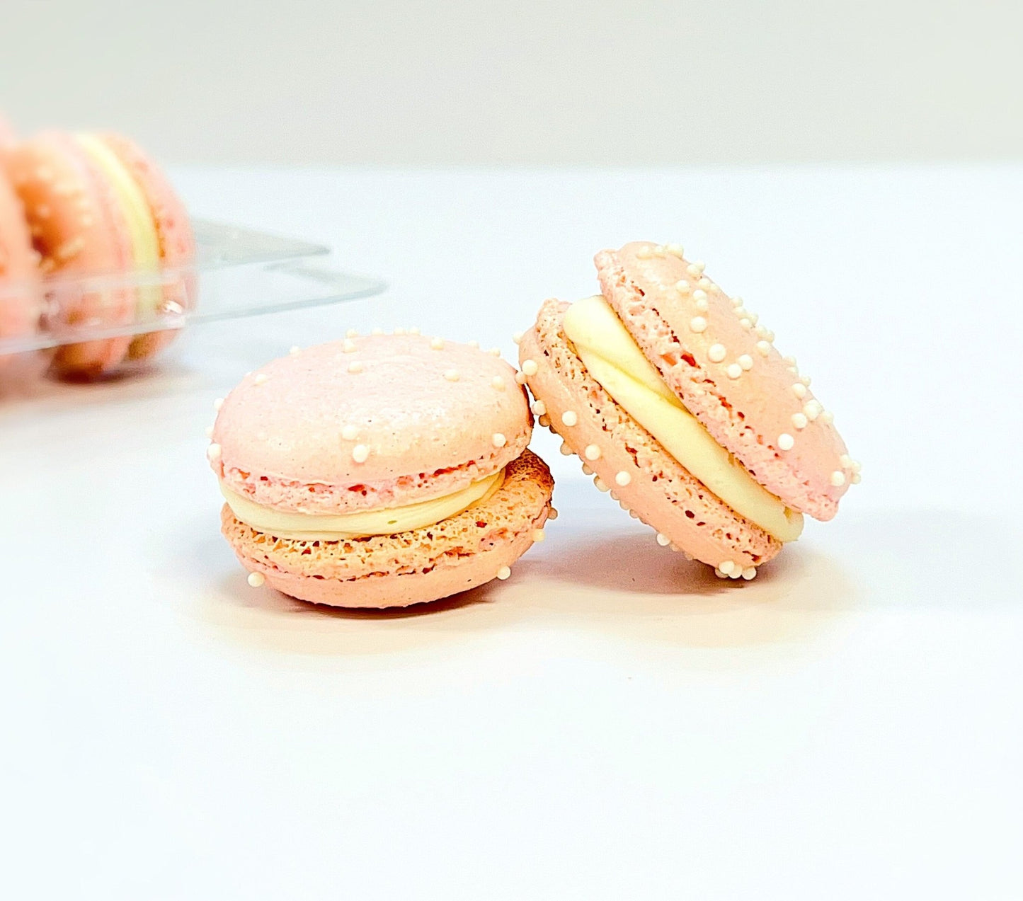 6 Pack Peppermint & Raspberry French Macarons - Macaron Centrale