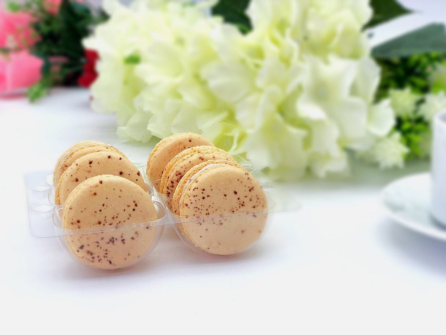 6 Pack tiramisu macarons - Macaron Centrale