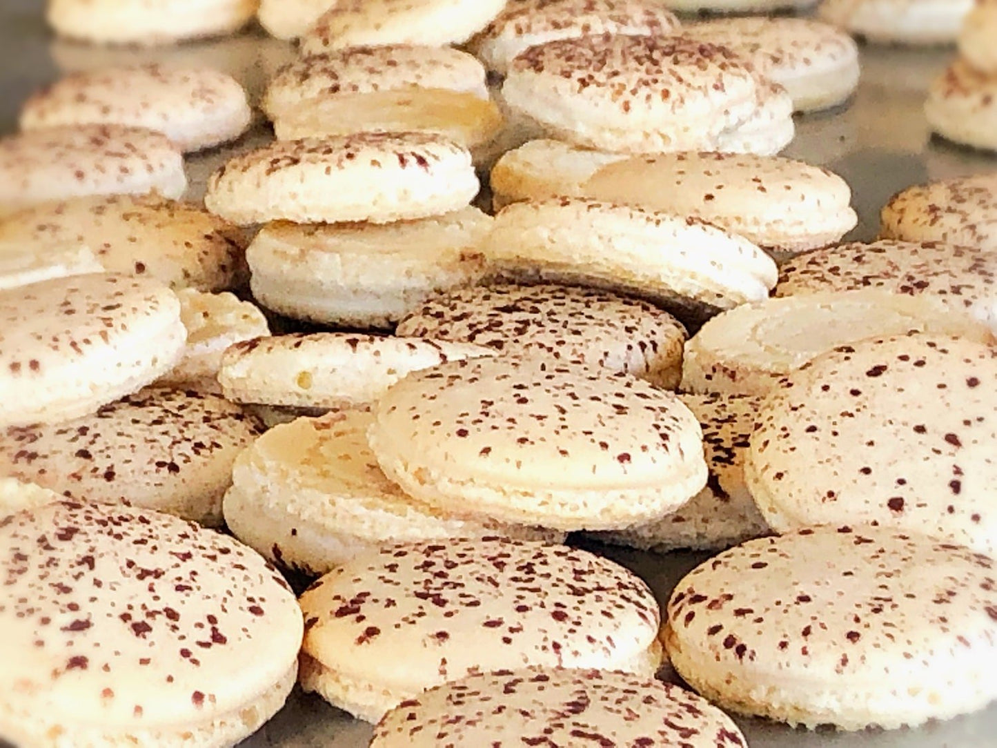 6 Pack tiramisu macarons - Macaron Centrale