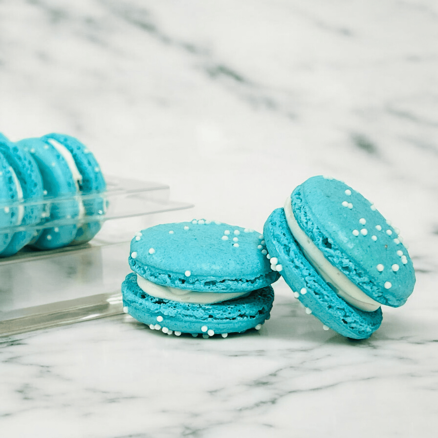 6 Pack White English Toffee French Macarons - Macaron Centrale
