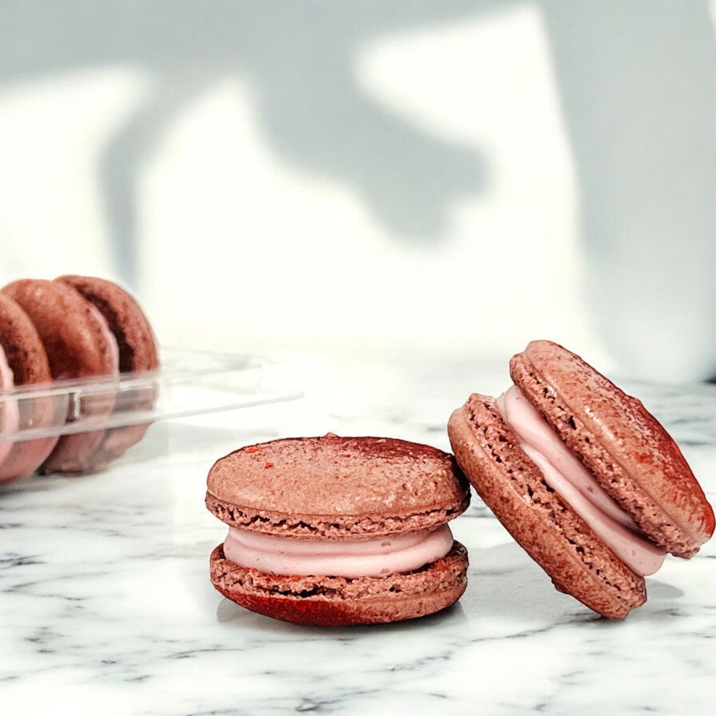 6 Red Plum French Macarons - Macaron Centrale
