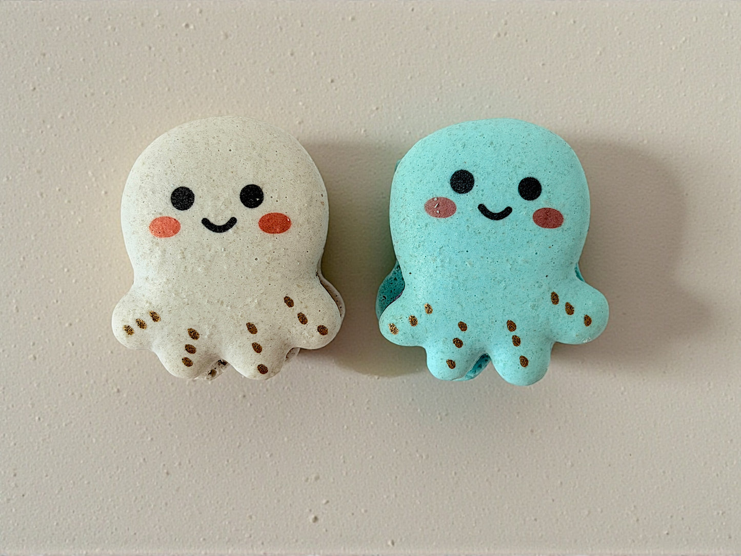 Octo Friends French Macarons