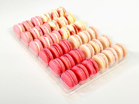Pink Vibe: A Flavorful Quartet of French Macarons in One Set | 36 Pack