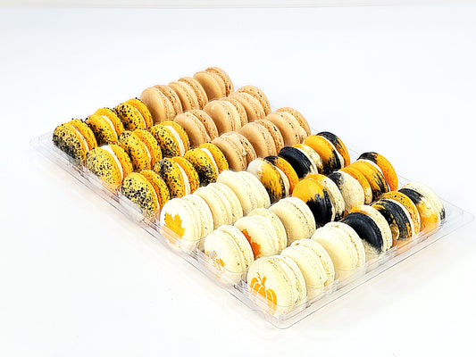 Fall Vibe: A Flavorful Quartet of French Macarons in One Set | 36 Pack