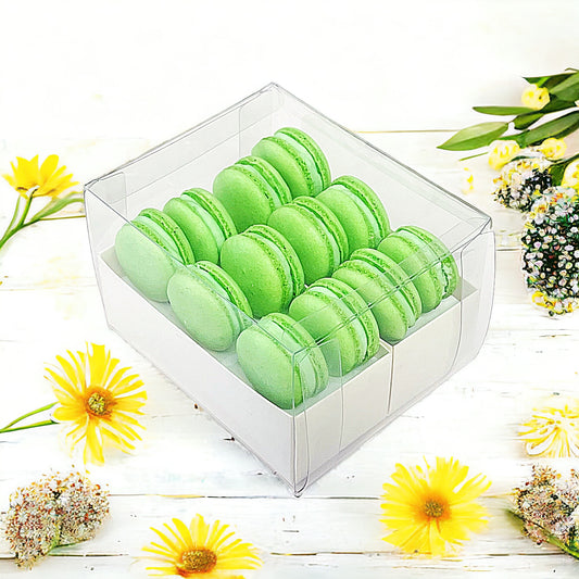 Apple Cream Macaron Sucettes En Gros | Available in 24 & 48 Sucettes