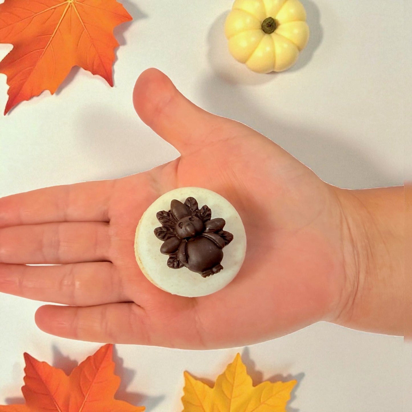 Chocolate Turkey Charm Macaron