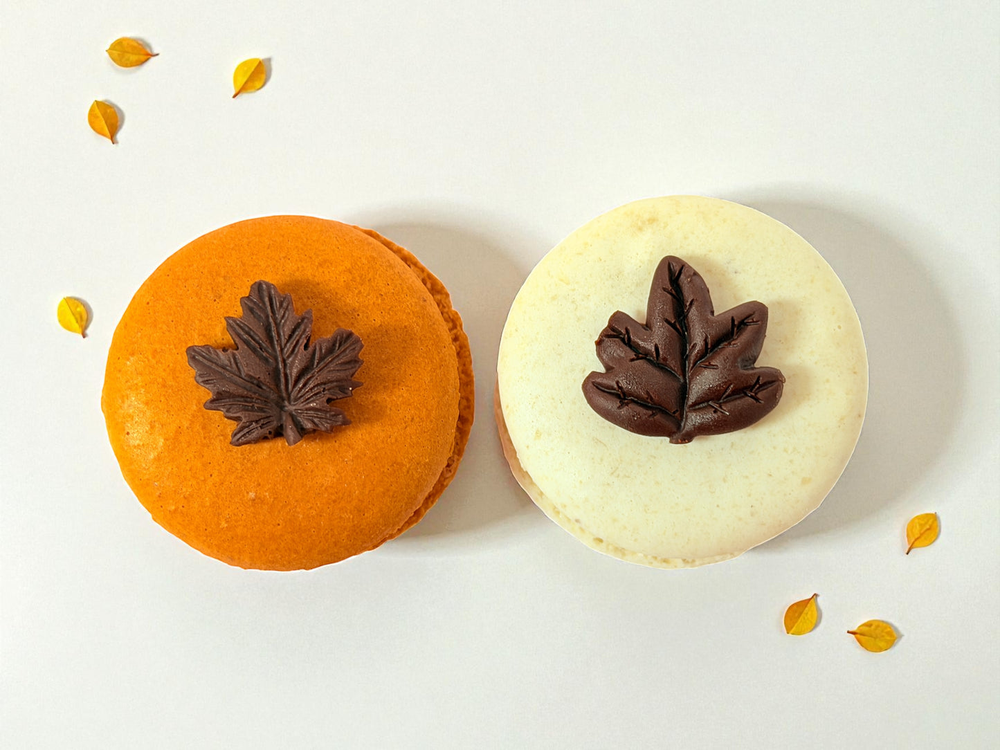 Chocolate Leaf Charm Macaron