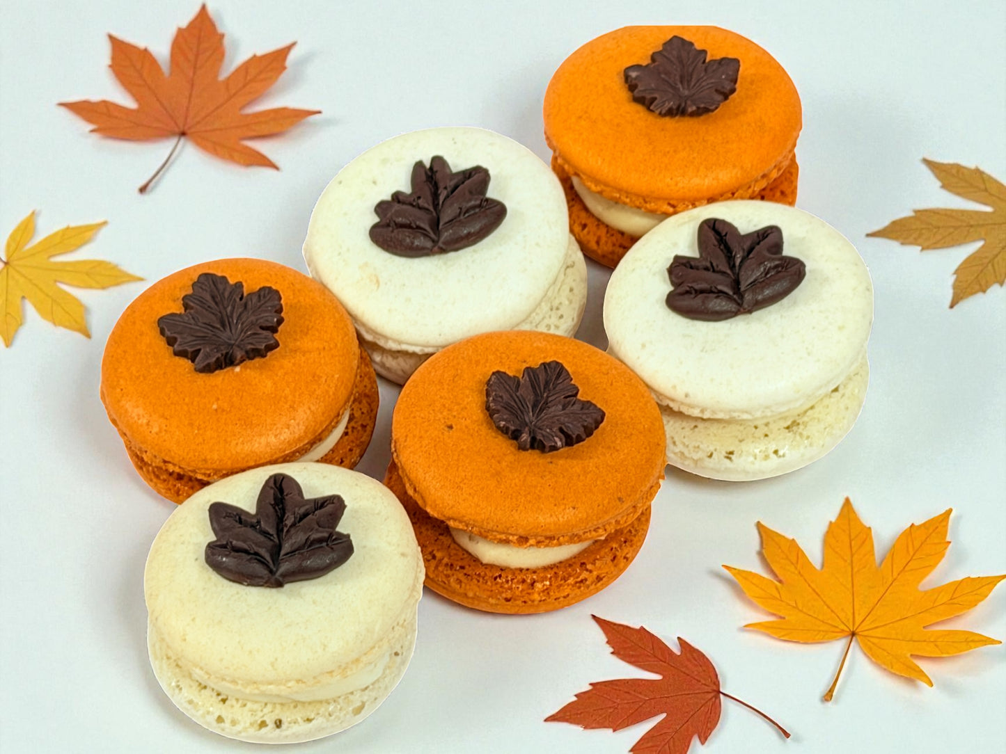 Chocolate Leaf Charm Macaron