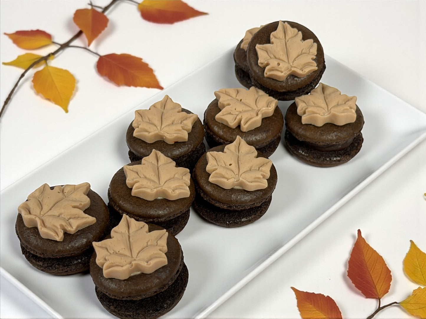 Maple Leaf Chocolate Charm French Macarons