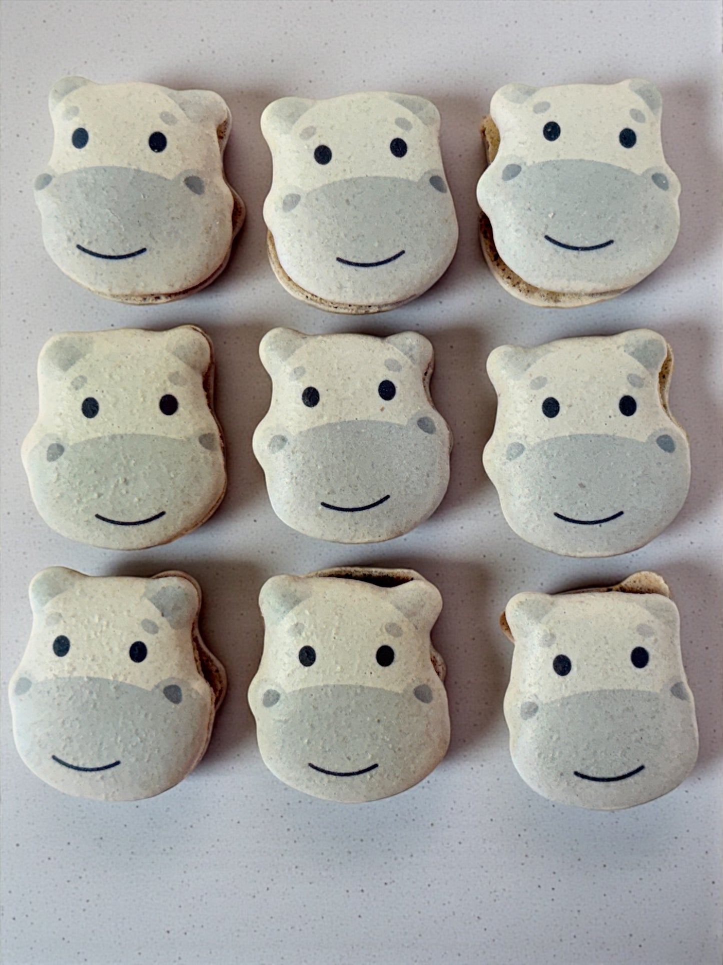 🦛 Adorable Hippo French Macarons