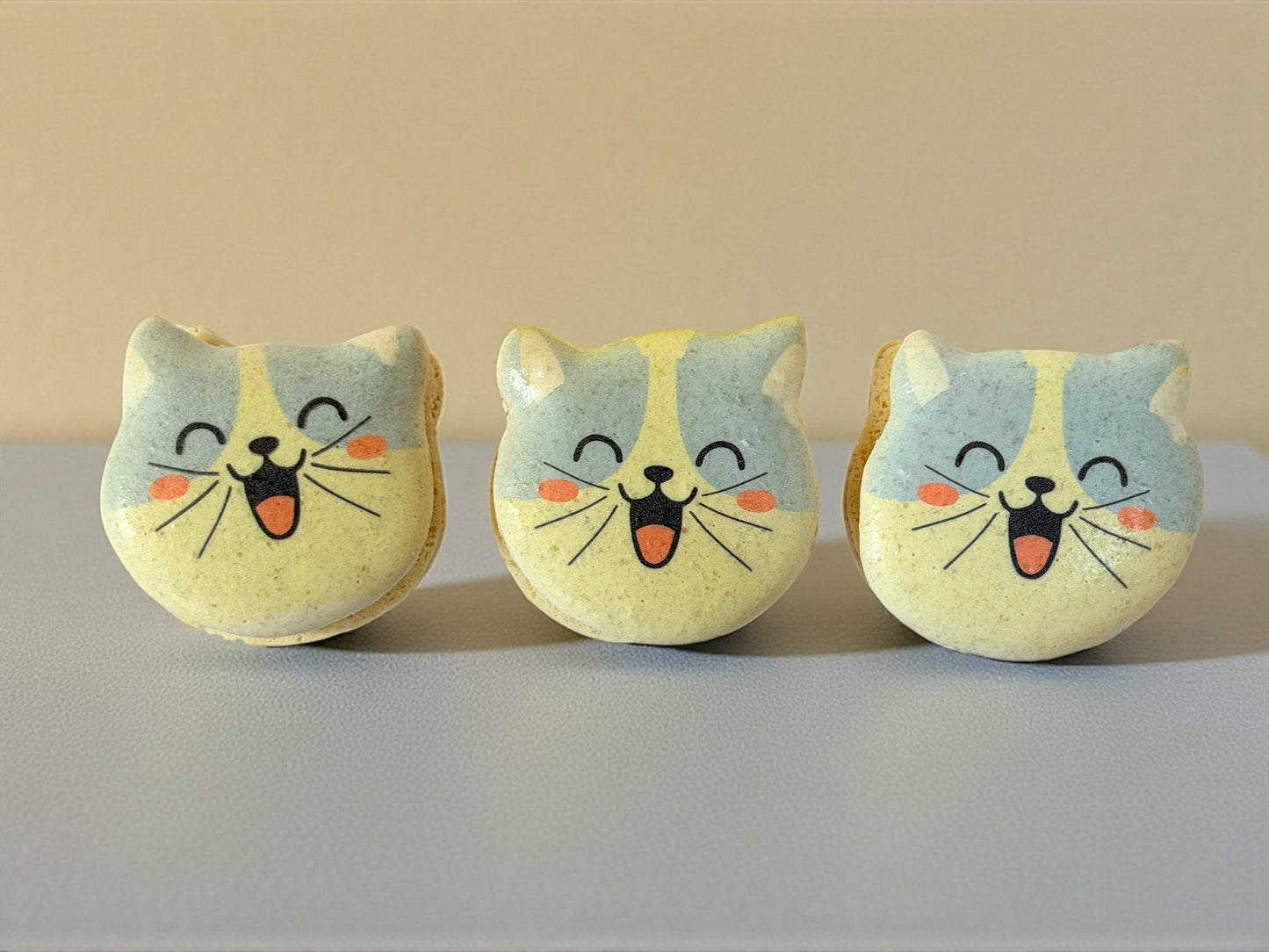 Purrfect Friends | Cat-Shaped French Macarons