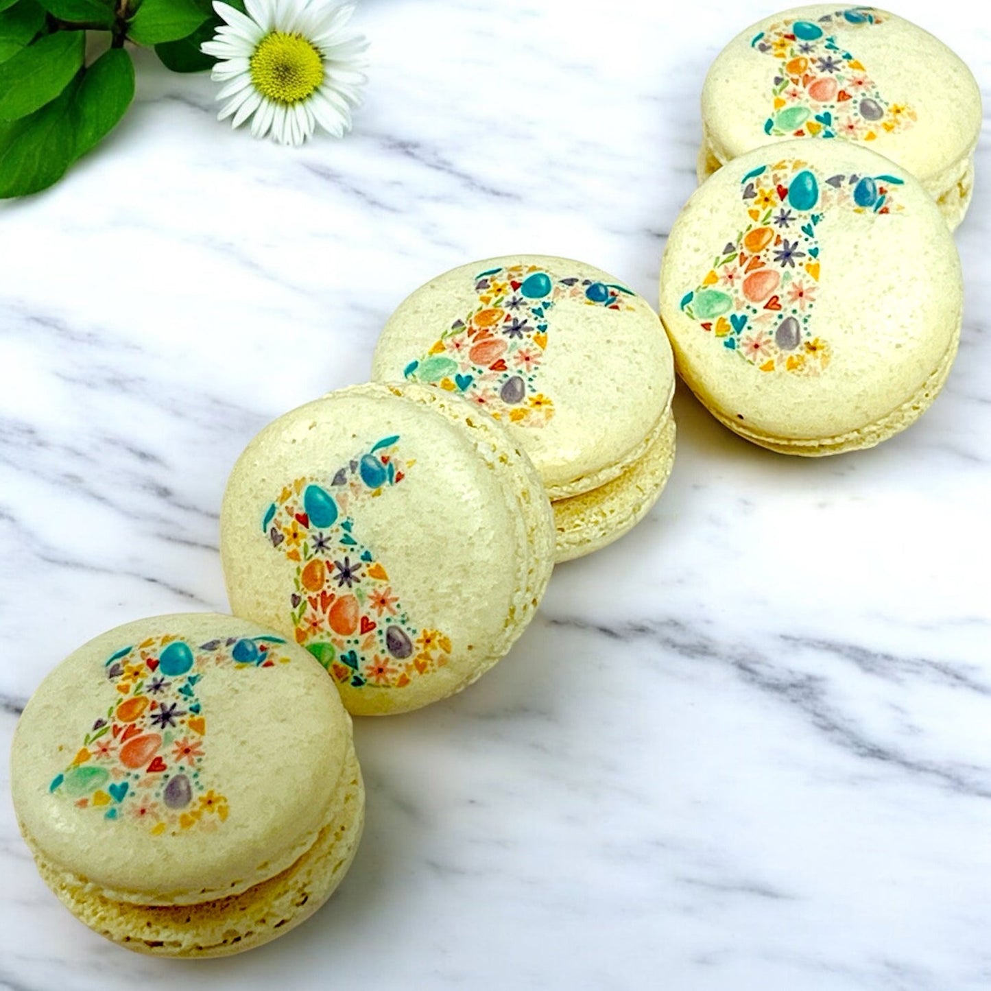 Blooming Bunny Macarons – A Touch of Spring Elegance - Macaron CentraleEasterStandard6 Pack