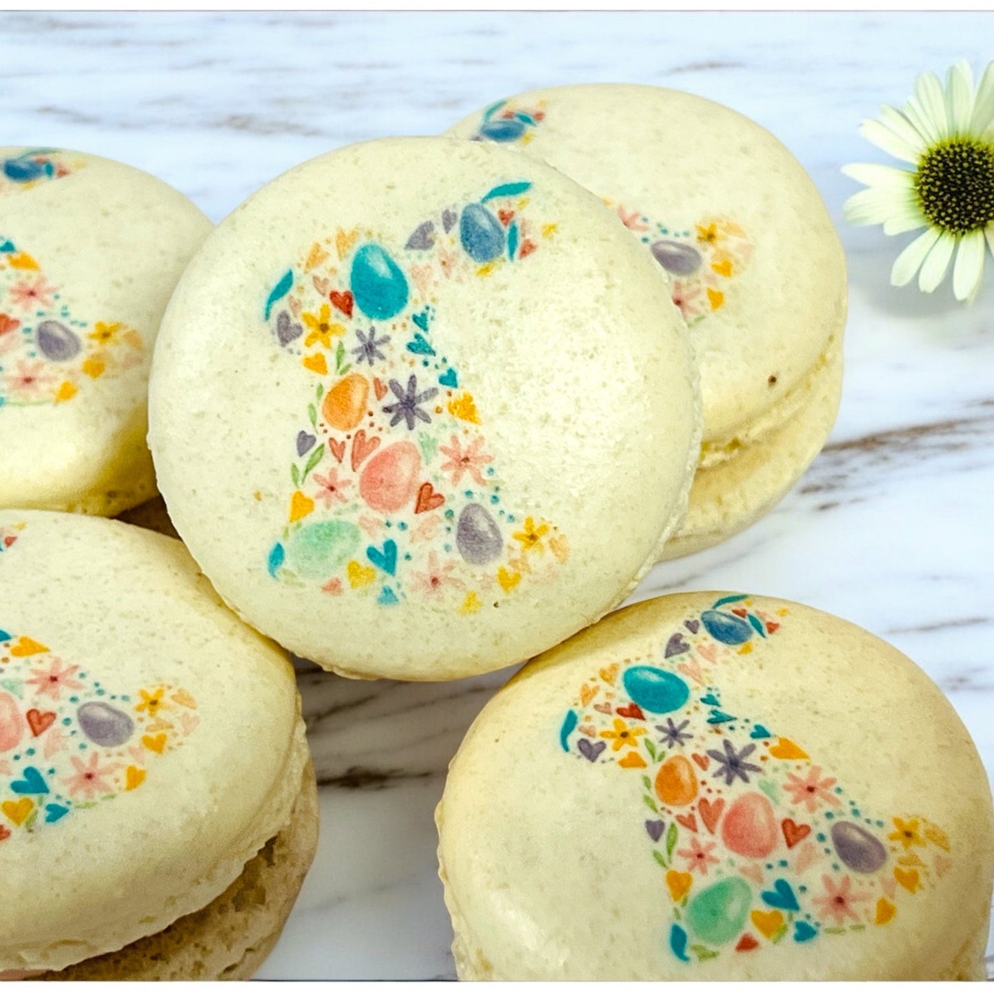 Blooming Bunny Macarons – A Touch of Spring Elegance - Macaron CentraleEasterStandard6 Pack