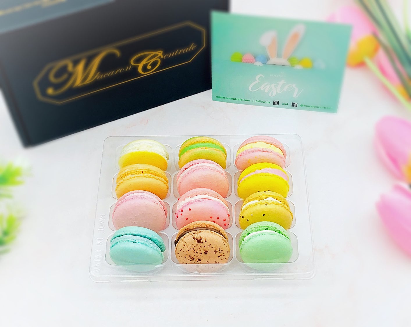 French Macaron Pastel Color Set | 12 Pack, 12 Different Pastel Shade of Deliciousness - Macaron Centrale