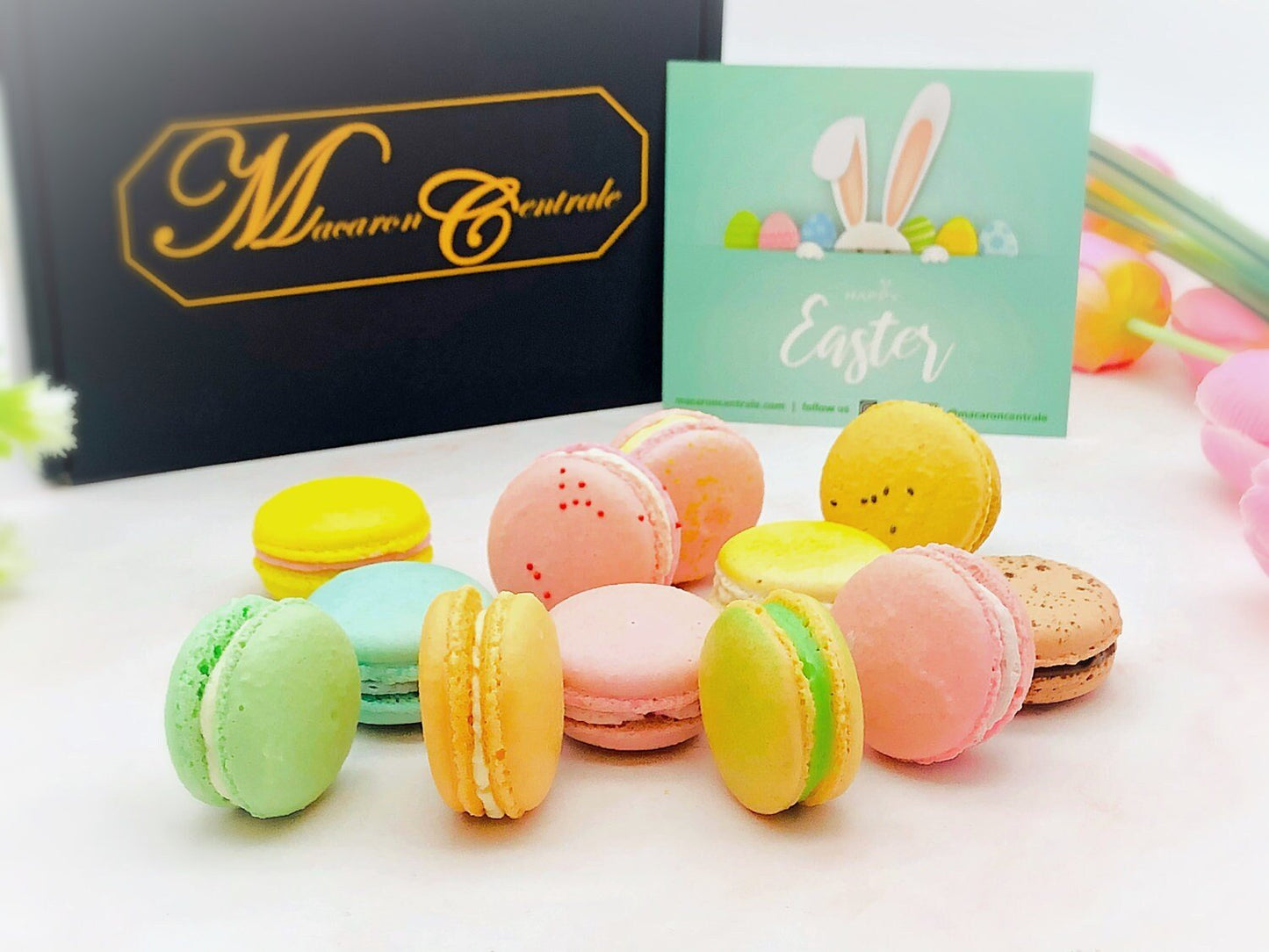 French Macaron Pastel Color Set | 12 Pack, 12 Different Pastel Shade of Deliciousness - Macaron Centrale