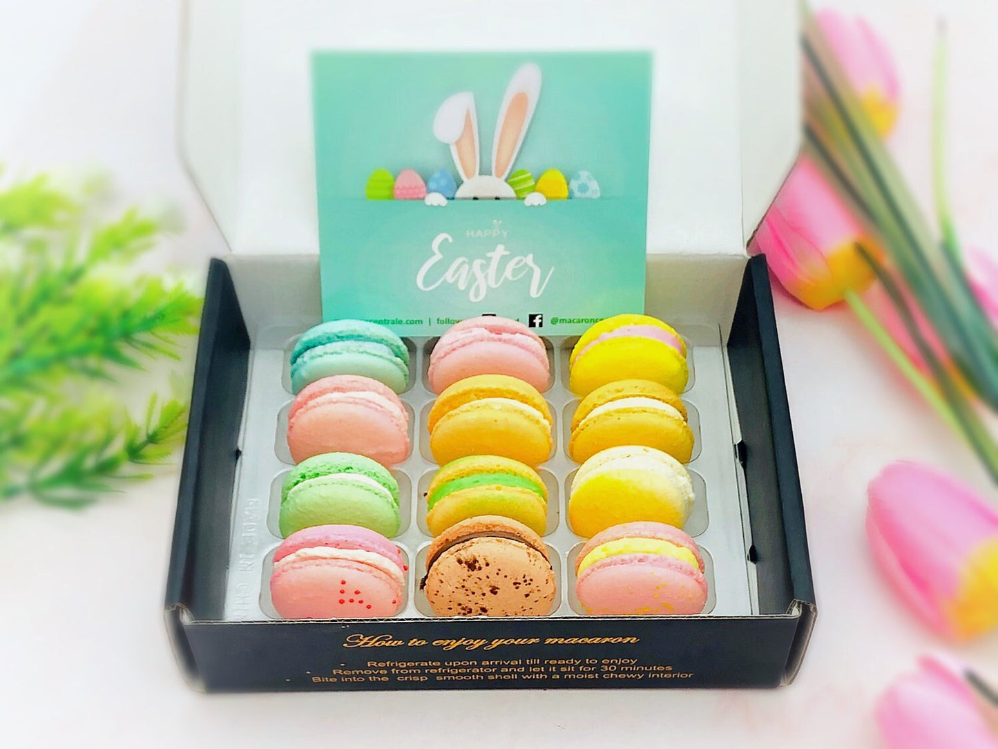 French Macaron Pastel Color Set | 12 Pack, 12 Different Pastel Shade of Deliciousness - Macaron Centrale