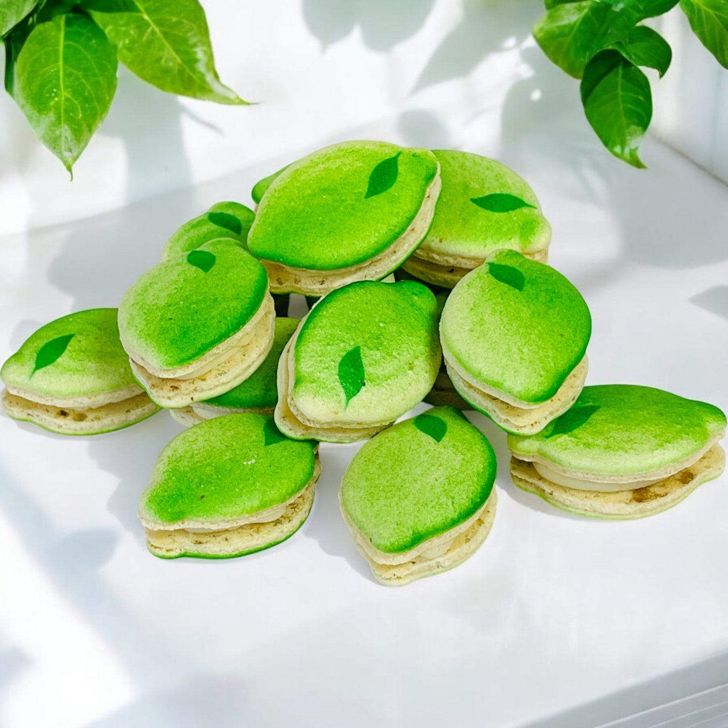 Fruit Shaped Lime Macarons – Custom Flavors - Macaron CentraleClassic12 Pack