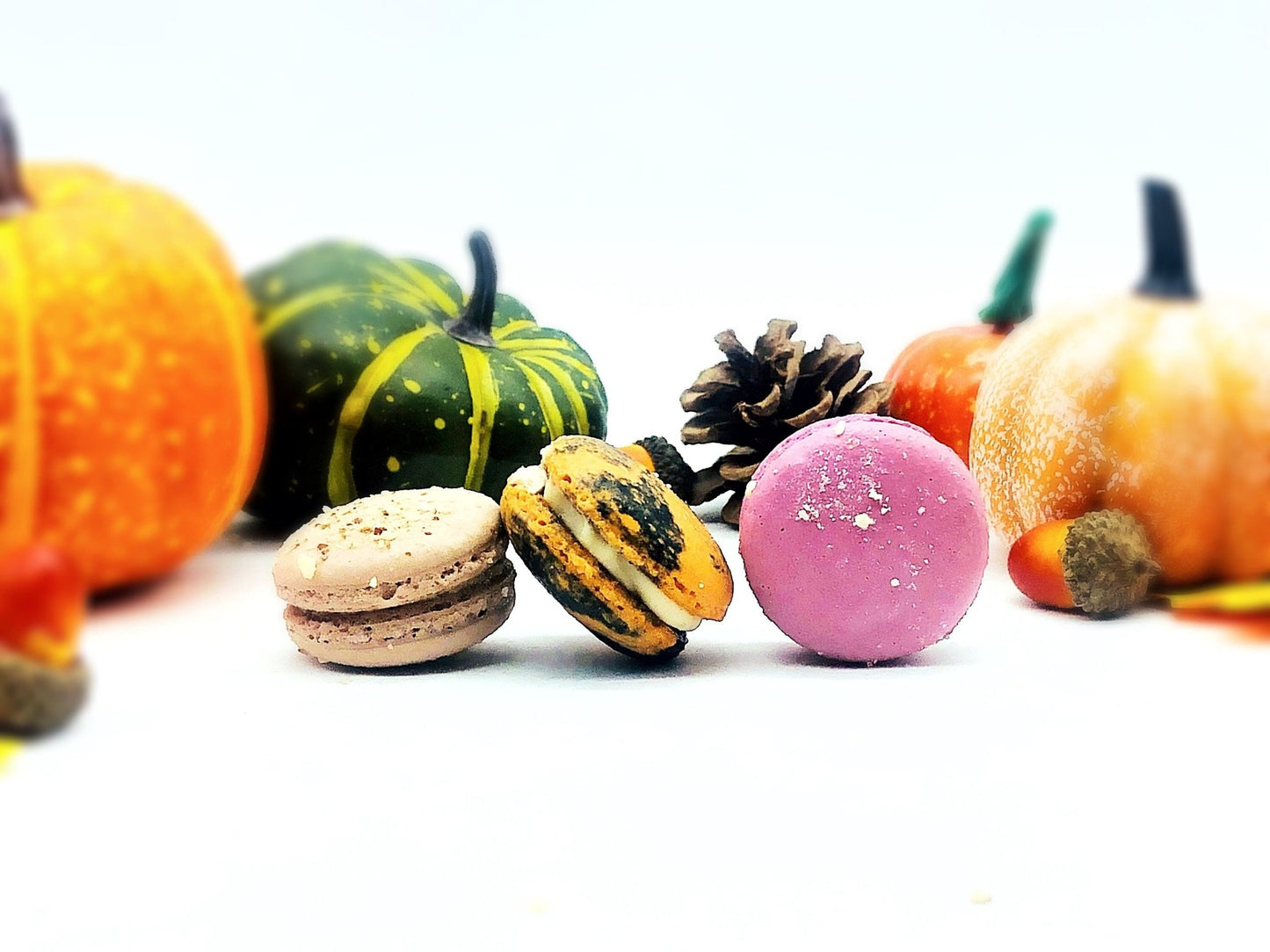 Give Thanks! 6 French Macaron Value Pack | Chocolate Hazelnut, Pumpkin Cheesecake and Cranberry Macarons - Macaron Centrale