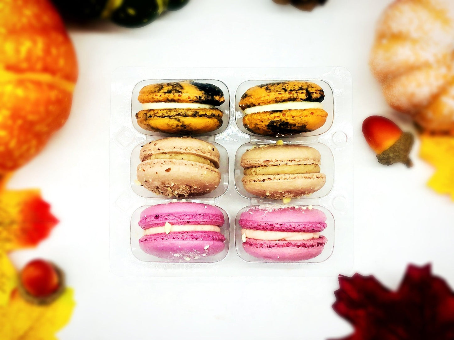 Give Thanks! 6 French Macaron Value Pack | Chocolate Hazelnut, Pumpkin Cheesecake and Cranberry Macarons - Macaron Centrale