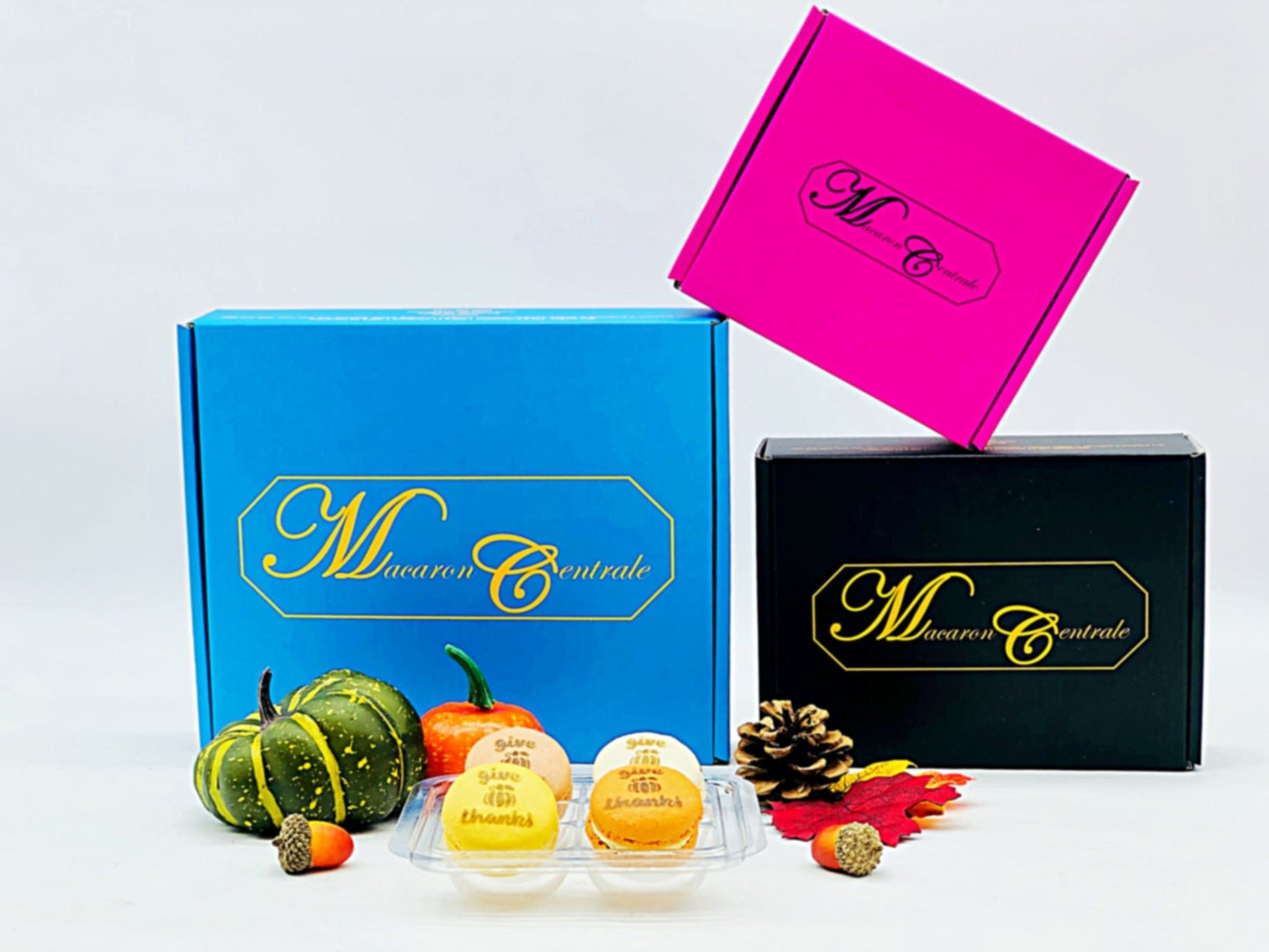 Give Thanks Airbrushed French Macarons - Macaron CentraleVanilla6 Pack