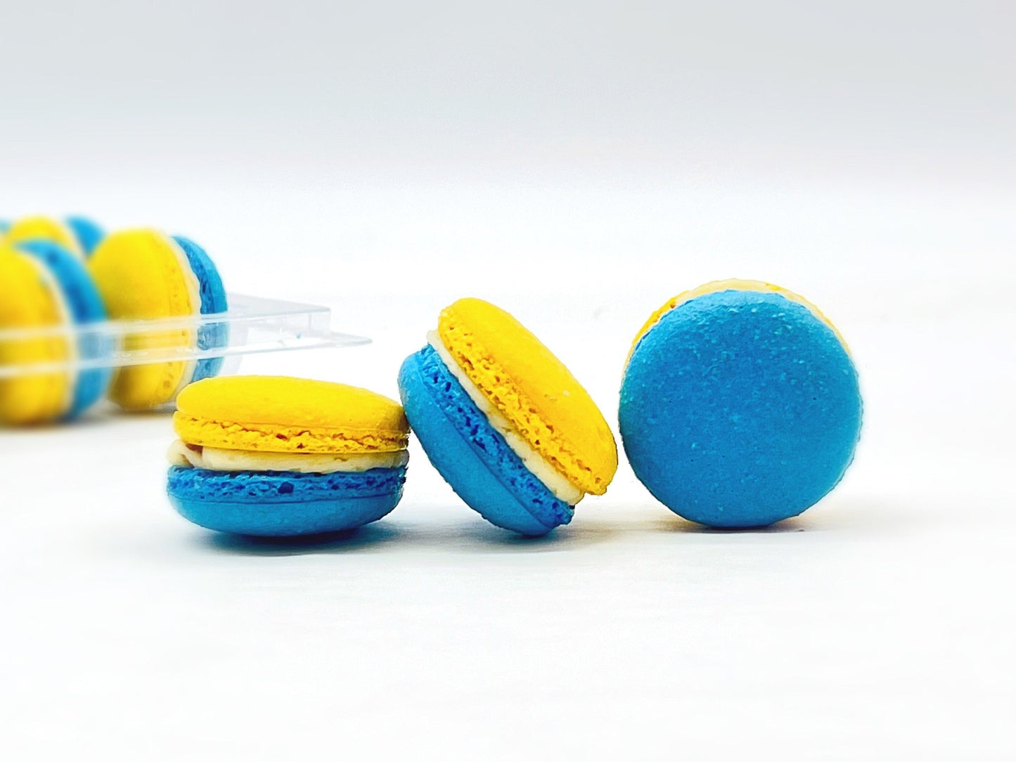 Honey and Fig French Macaron | Available in 6, 12 & 24 - Macaron Centrale6 Pack
