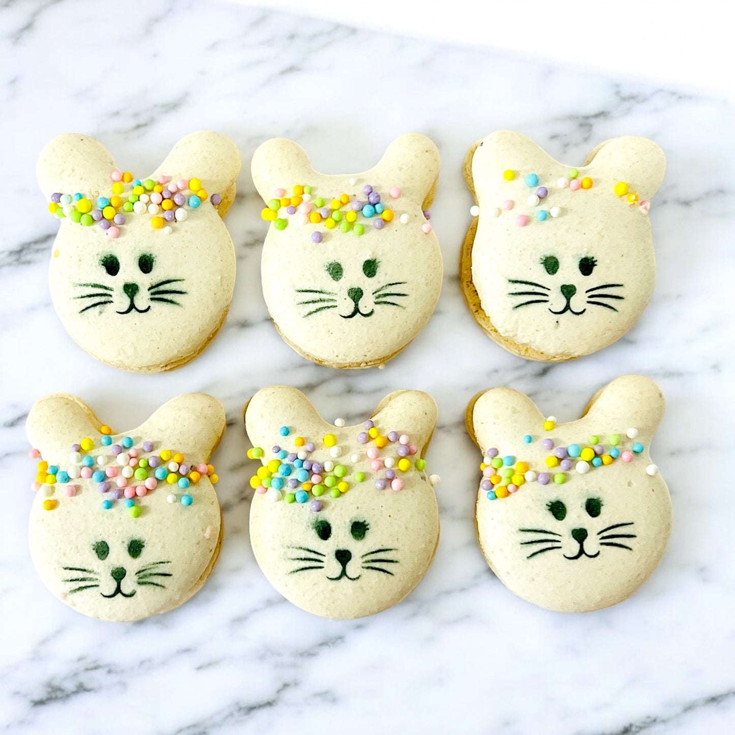 Hoppy Spring Bunny French Macarons - Macaron Centrale6 Pack