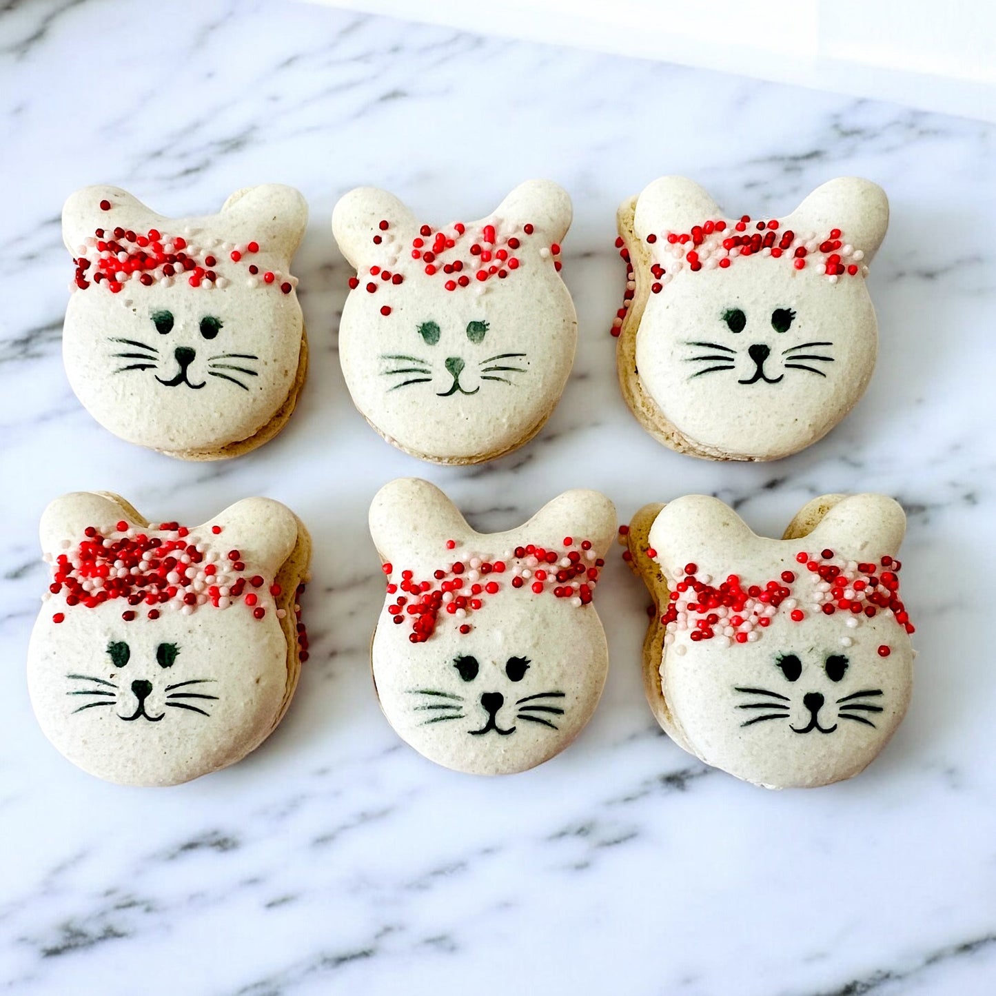 Hoppy Spring Bunny French Macarons - Macaron Centrale6 Pack
