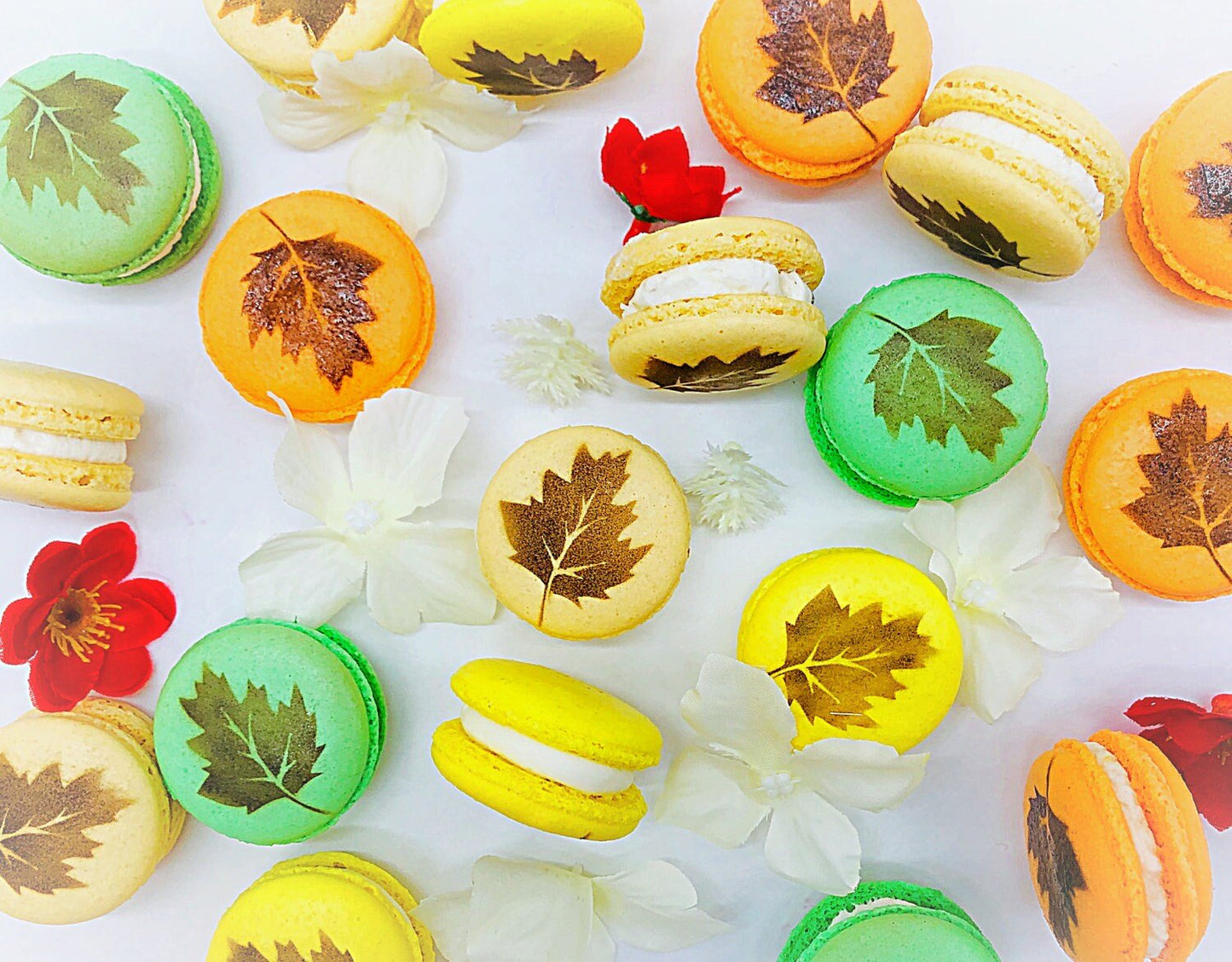Leaf Macarons | Custom Gourmet Macarons | Perfect for Thanksgiving and Your Next Holiday Celebrations - Macaron CentraleOrange Cream6 pack