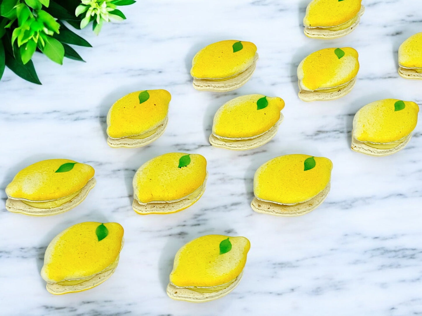 Lemon - Shaped French Macarons – A Delightful Citrus Touch - Macaron CentraleClassic12 Pack