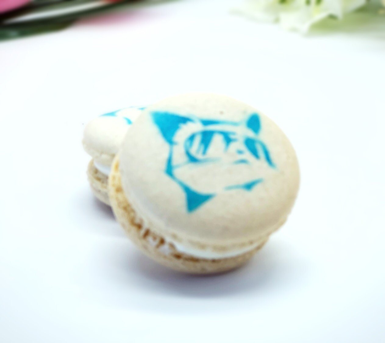 Novelty Macarons | Edible Spray Paint (Cat in Sun Glasses)… - Macaron Centrale6 pack