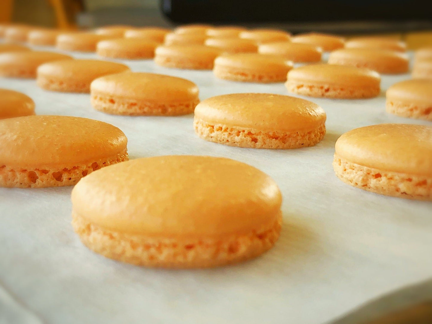 Orange Cream French Macarons (6 Pack) | Perfect for your next celebratory events. - Macaron Centrale