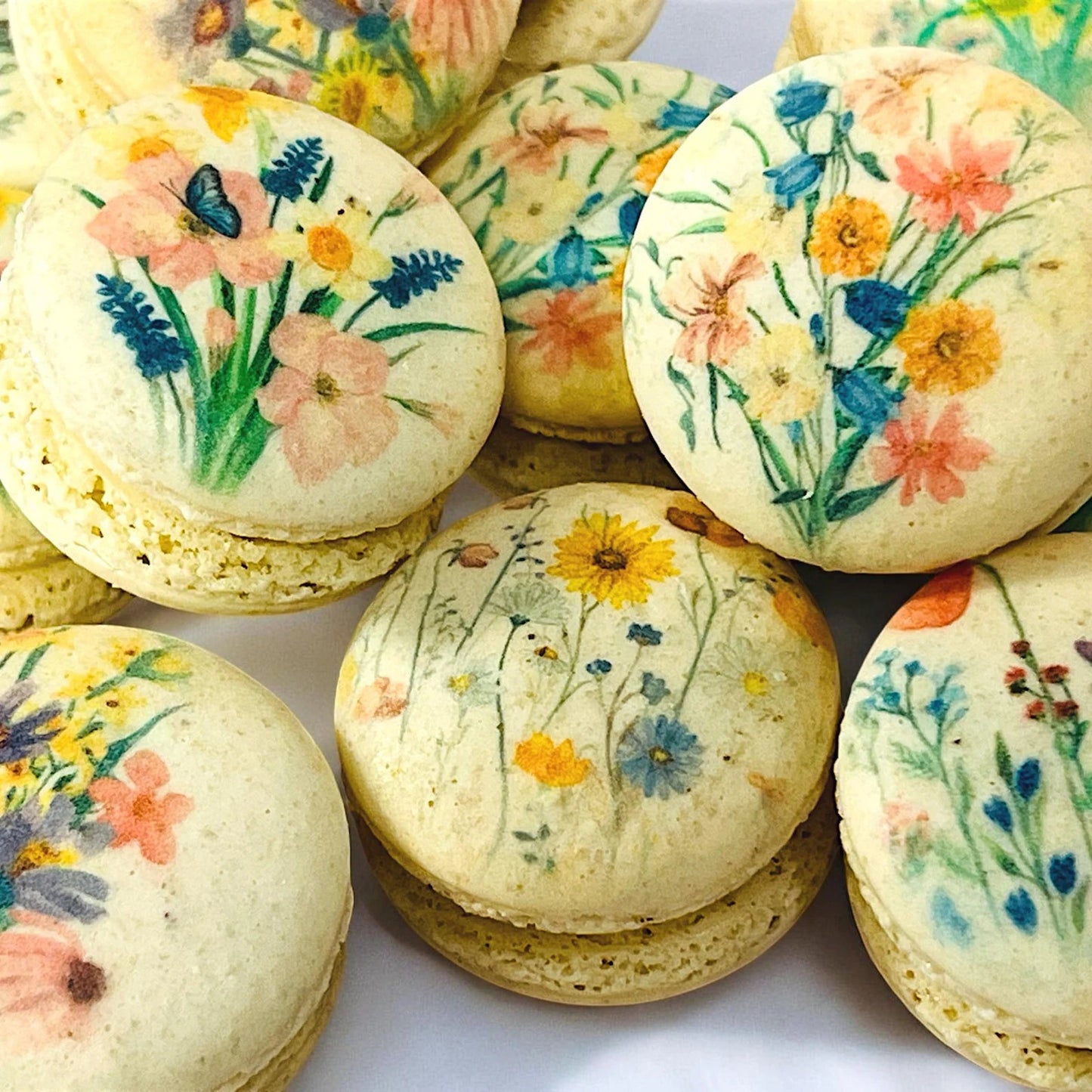 Pastel Wildflower French Macaron Set - Macaron Centrale6 Pack