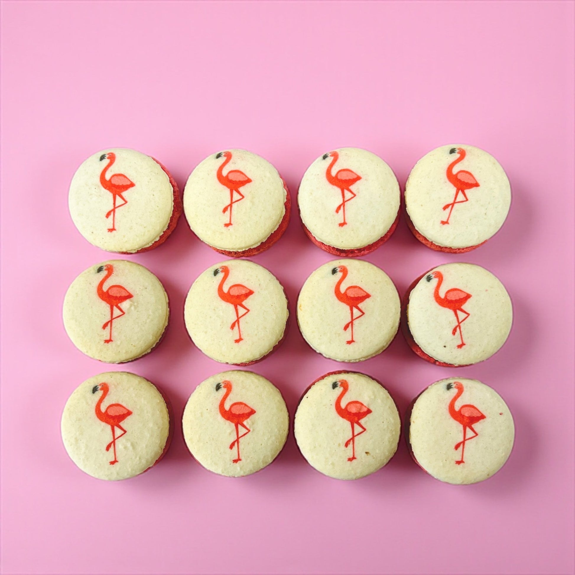 Raspberry Flamingo Cocoa - Macaron Centrale6 Pack