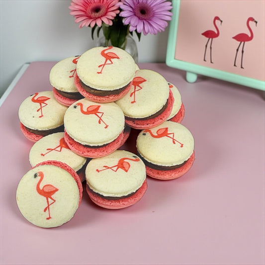 Raspberry Flamingo Cocoa - Macaron Centrale6 Pack