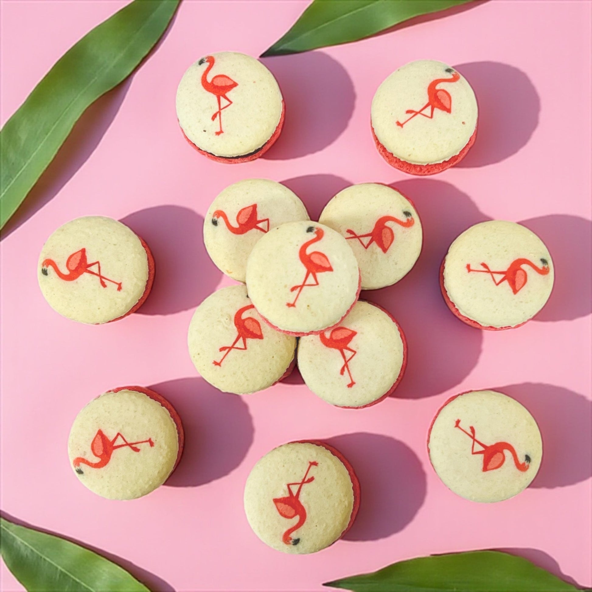 Raspberry Flamingo Cocoa - Macaron Centrale6 Pack