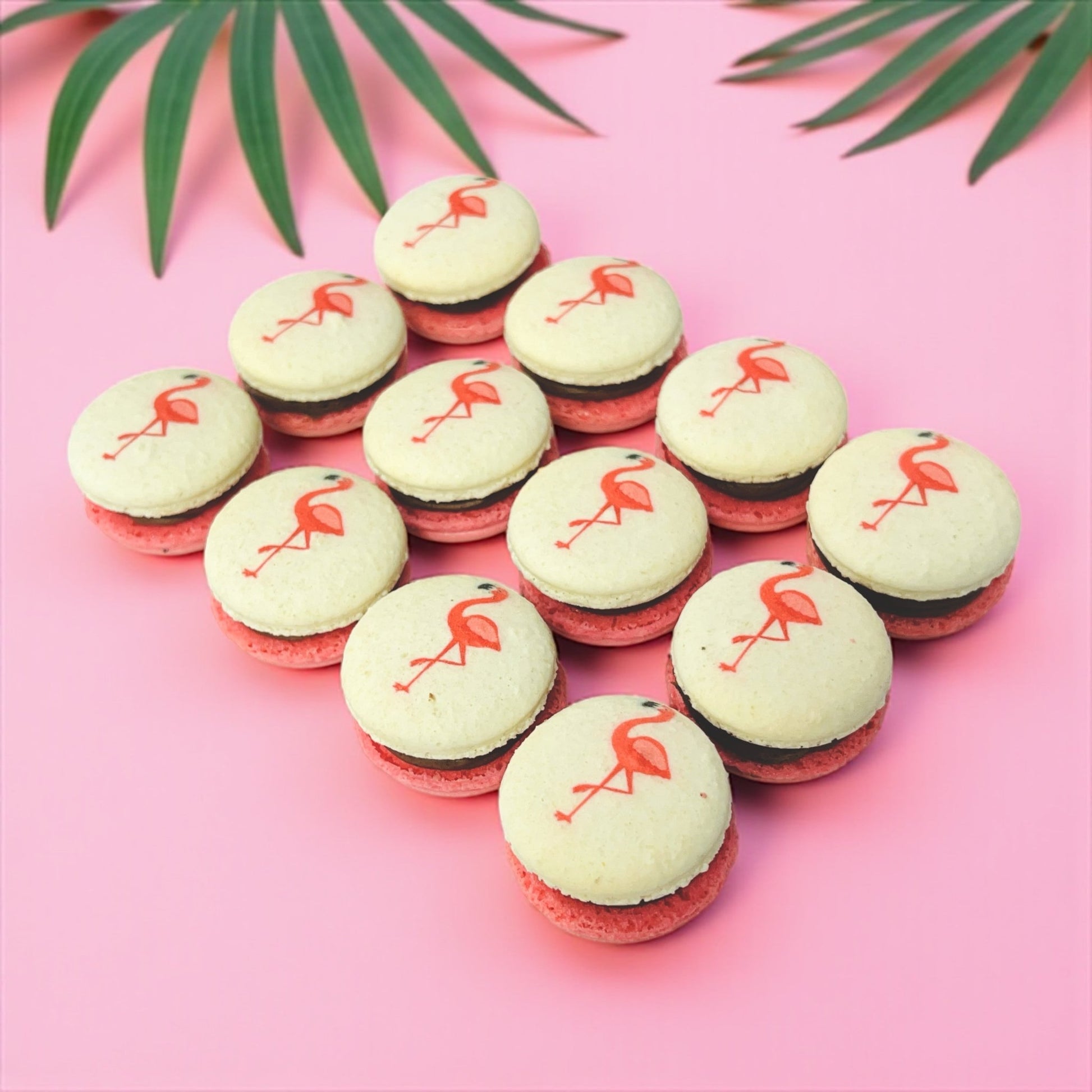 Raspberry Flamingo Cocoa - Macaron Centrale6 Pack