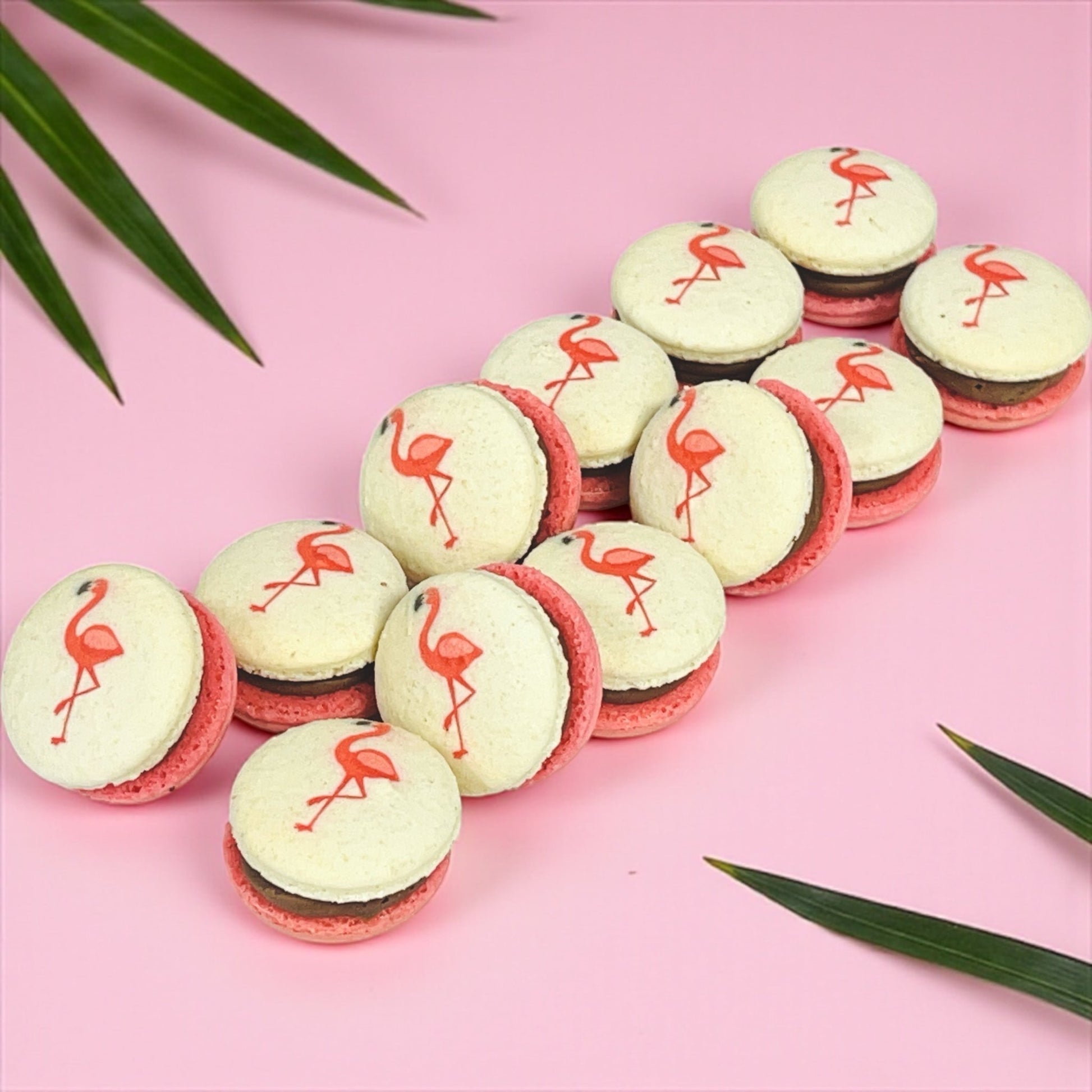 Raspberry Flamingo Cocoa - Macaron Centrale6 Pack