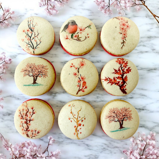 Sakura Bloom Vegan French Macaron Set - Macaron Centrale4 Pack