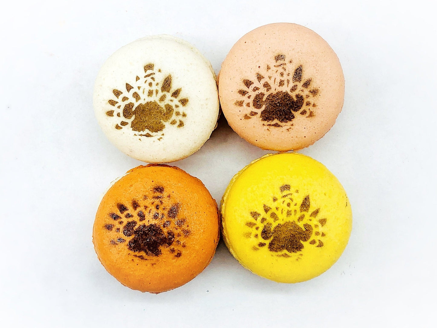 Turkey Airbrushed French Macarons - Macaron CentraleVanilla6 Pack