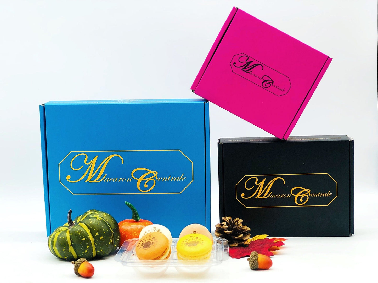 Turkey Airbrushed French Macarons - Macaron CentraleVanilla6 Pack