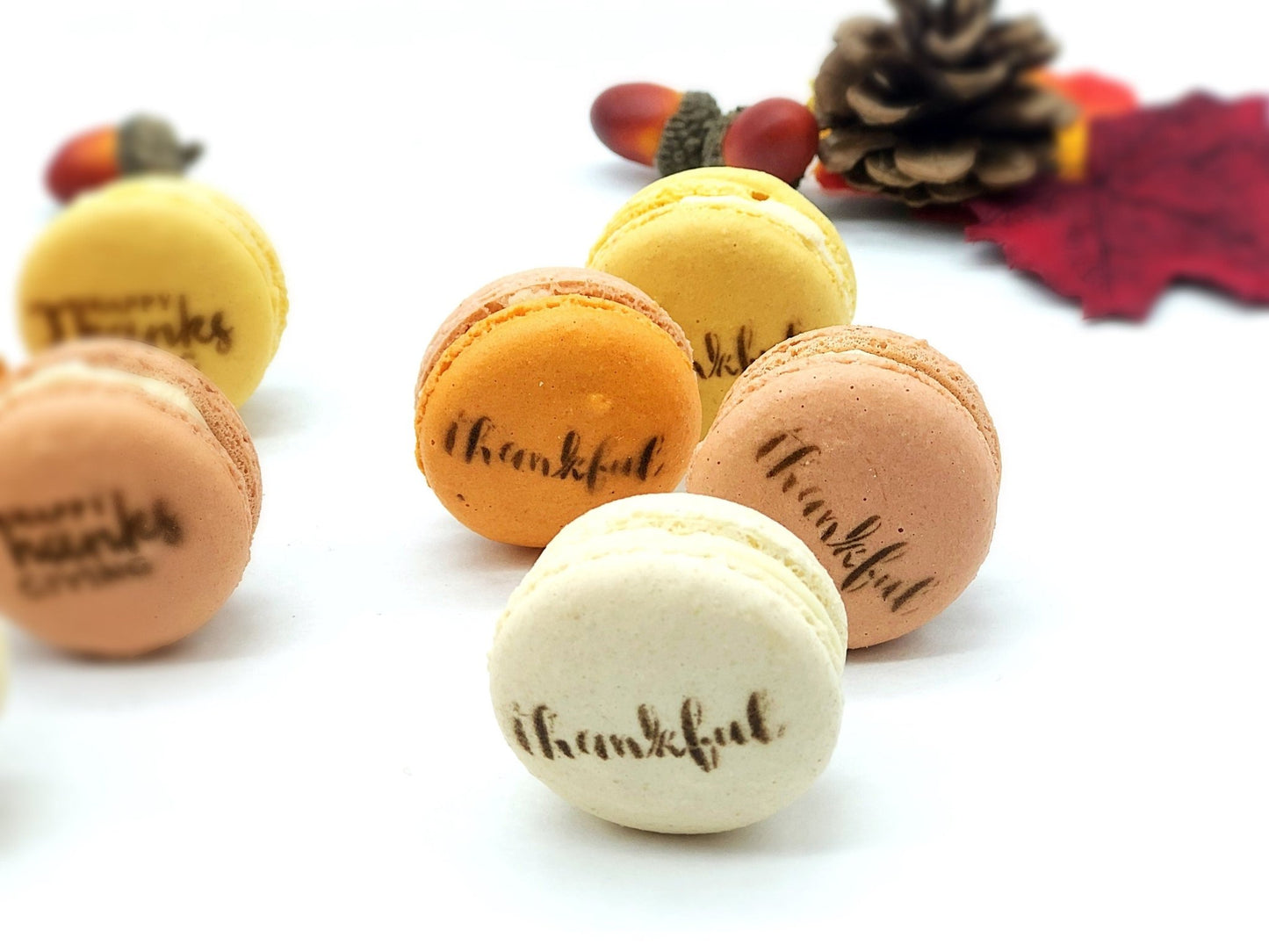 12 Pack Thanksgiving Macaron Set - Macaron Centrale