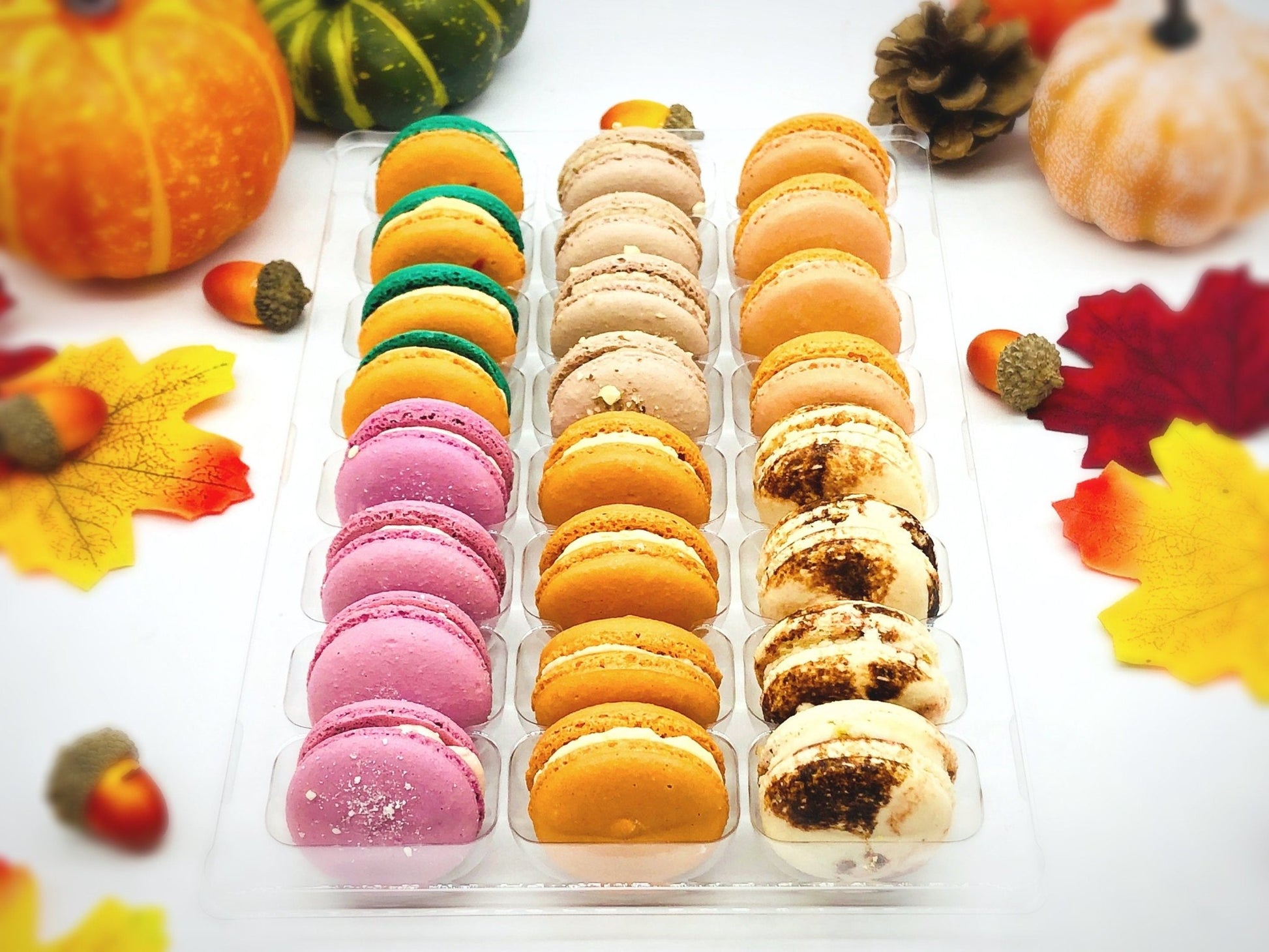 24 Pack Assorted Macaron, The Fall Set | Perfect for any party, celebration. - Macaron Centrale