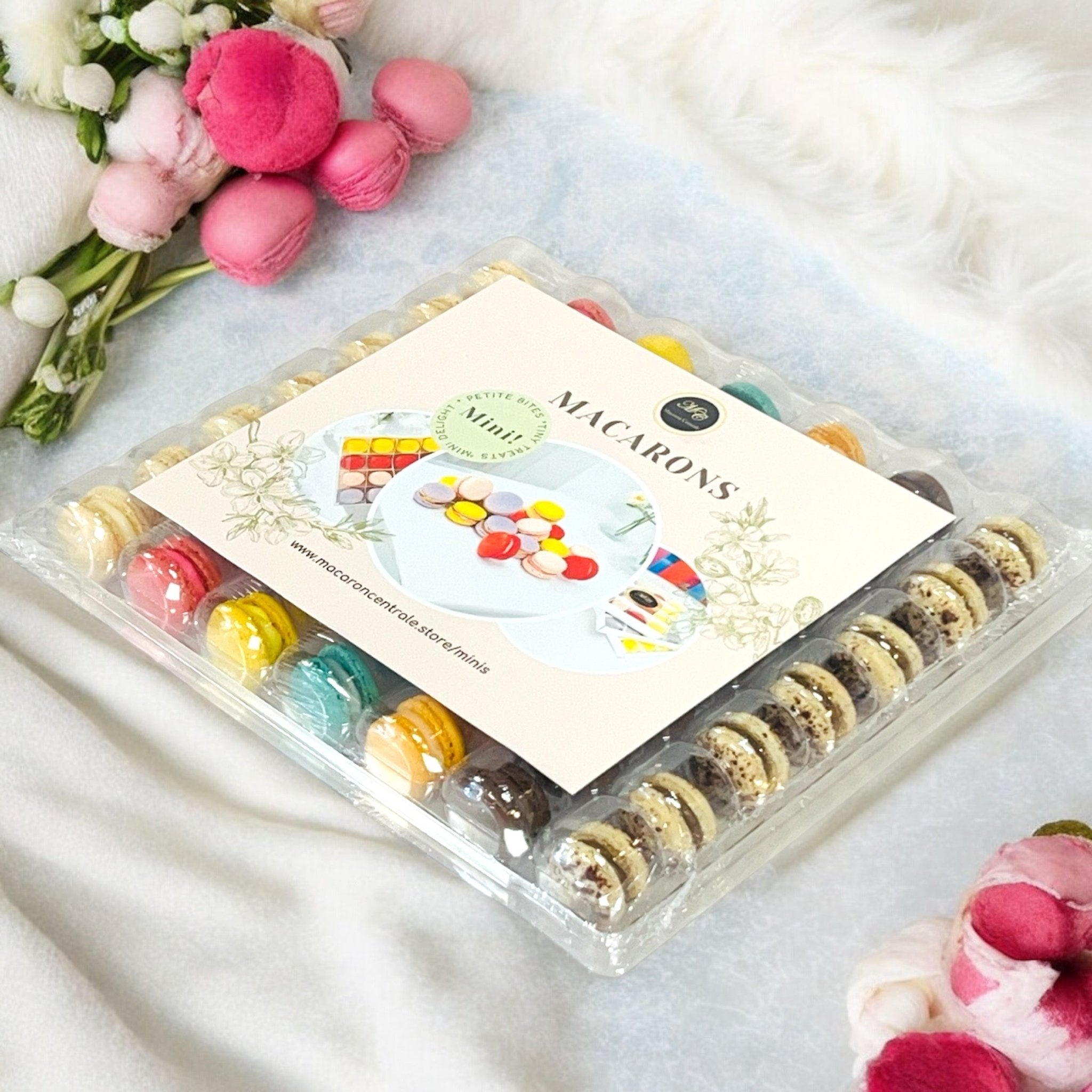 49-Pack Mini!s Macaron Assortment - Macaron Centrale